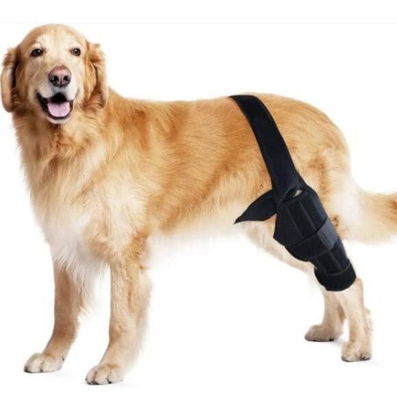PAWFUN Dog Knee Brace for Torn ACL Adjustable Leg Support for Hip Dysplasia - Picture 3 of 12